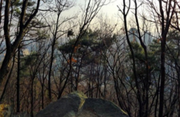 청명산 1