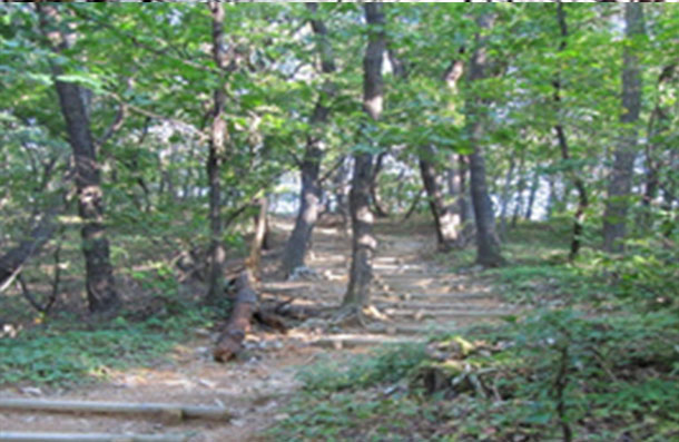 청명산 2