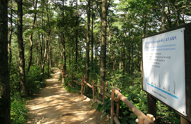 칠보산 8