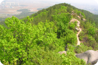 칠보산 전경 4