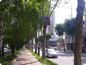띠녹지 및 중앙분리대 2