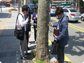 가로수 건강검진단 1
