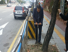 가로수 건강검진단 2