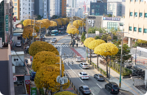 가로수