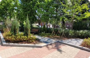 학교숲