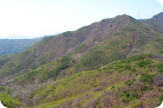 형제봉