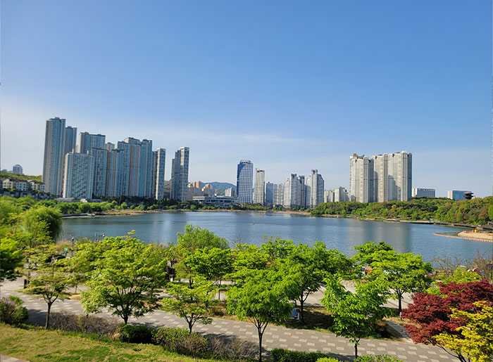 커뮤니티 숲