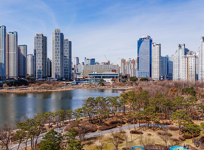 커뮤니티 숲