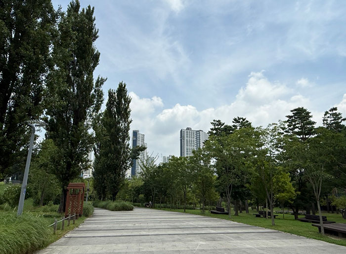 커뮤니티 숲