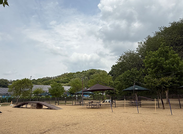 광교호수공원 반려견놀이터