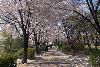 수변공원 2