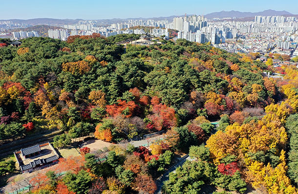 팔달산 3