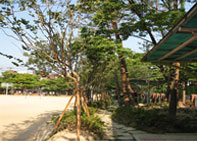 매현중학교