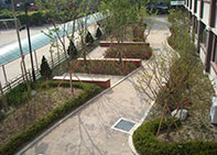 효정초등학교