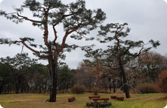 서울대 수원수목원