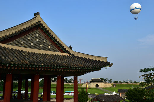 플라잉 수원 5