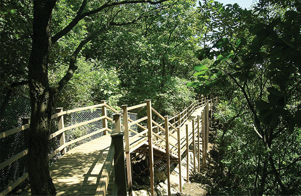광교산 산림욕장 1
