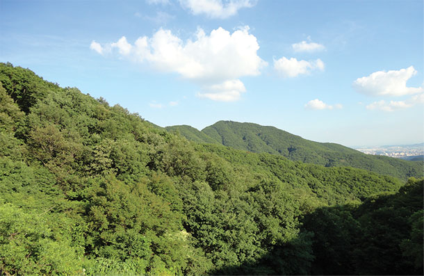 광교산 산림욕장 2