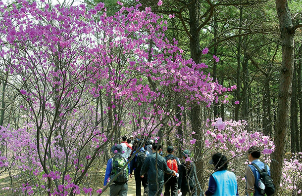 광교산 산림욕장 3