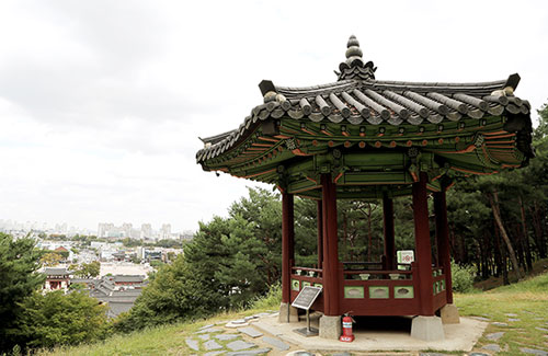 미로한정