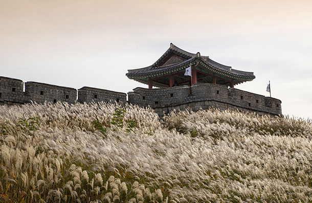 수원화성 5