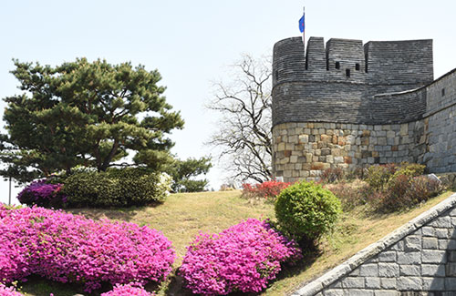 동북노대