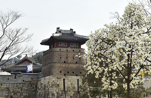 서북공심돈