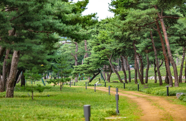 지지대고개(효행공원) 3