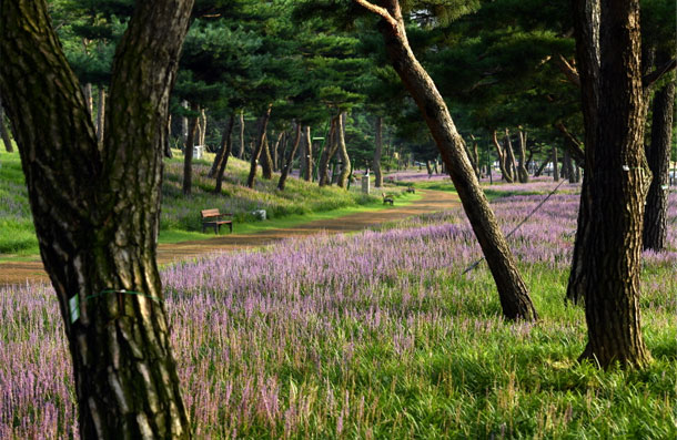 지지대고개(효행공원) 4