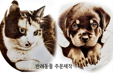 반려동물 1