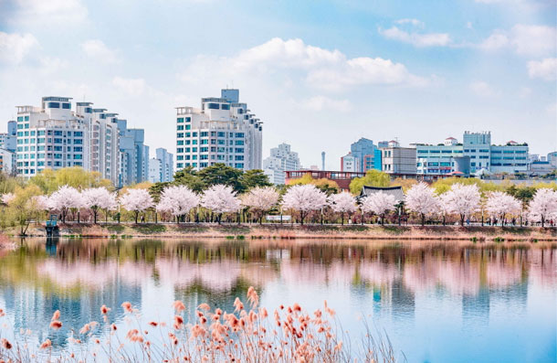 만석공원과 만석거(일왕저수지) 4