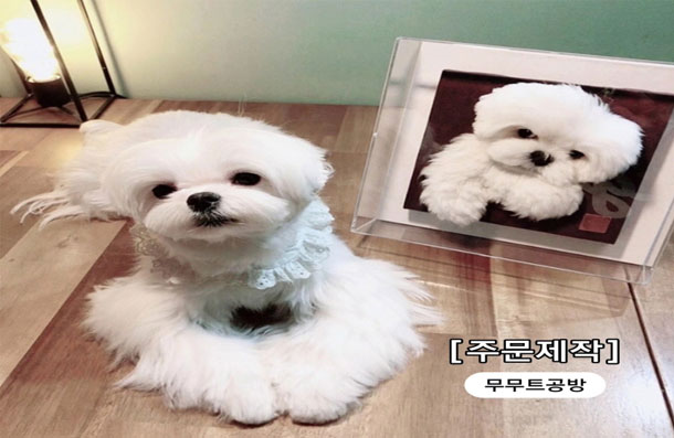 무무트공방 4