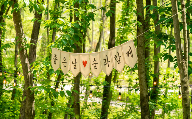 두충나무숲 이미지2
