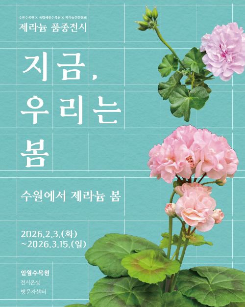 제라늄 품종전시 지금 우리는 봄