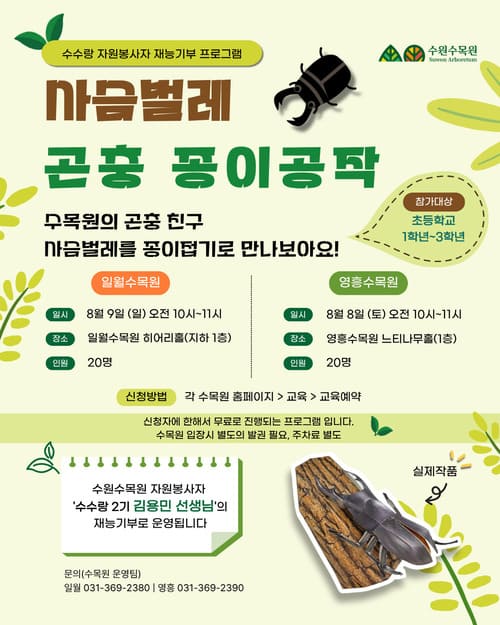 사슴벌레 곤충 종이공작