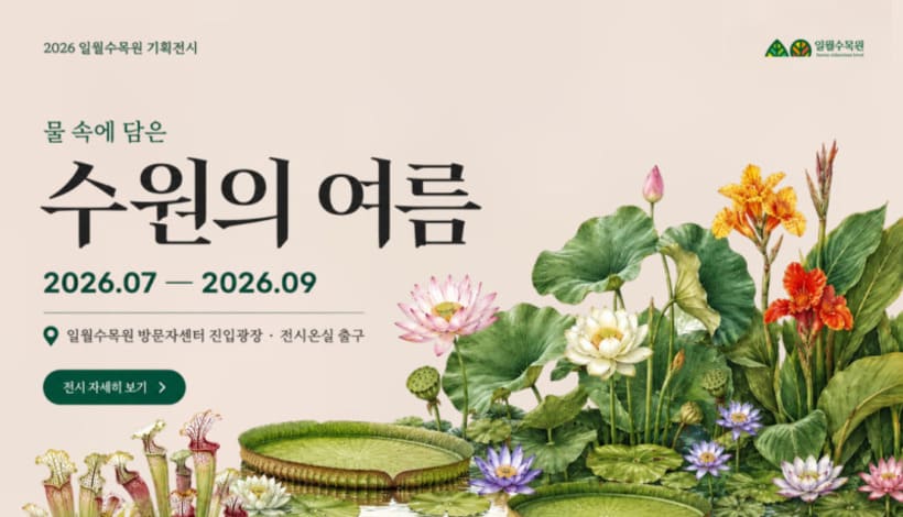 물 속에 담은 수원의 여름