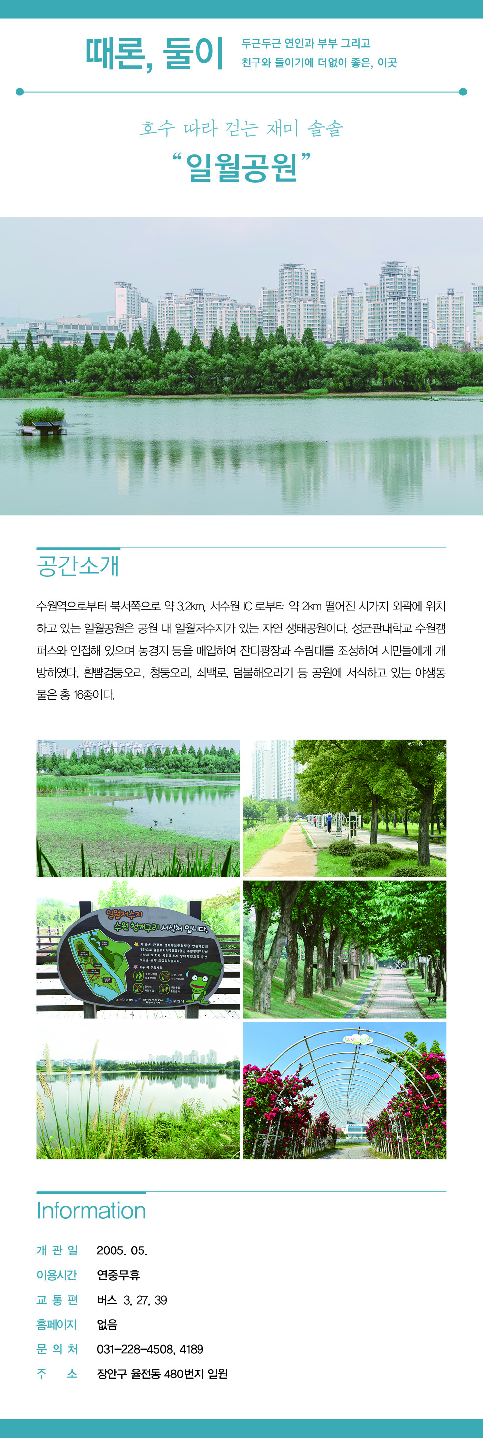호수 따라 걷는 재미 솔솔 '일월공원'을 소개합니다.