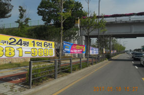 가로수에 설치한 불법 현수막 사진