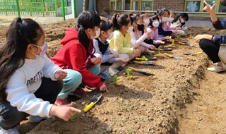 과수체험 프로그램 사진3