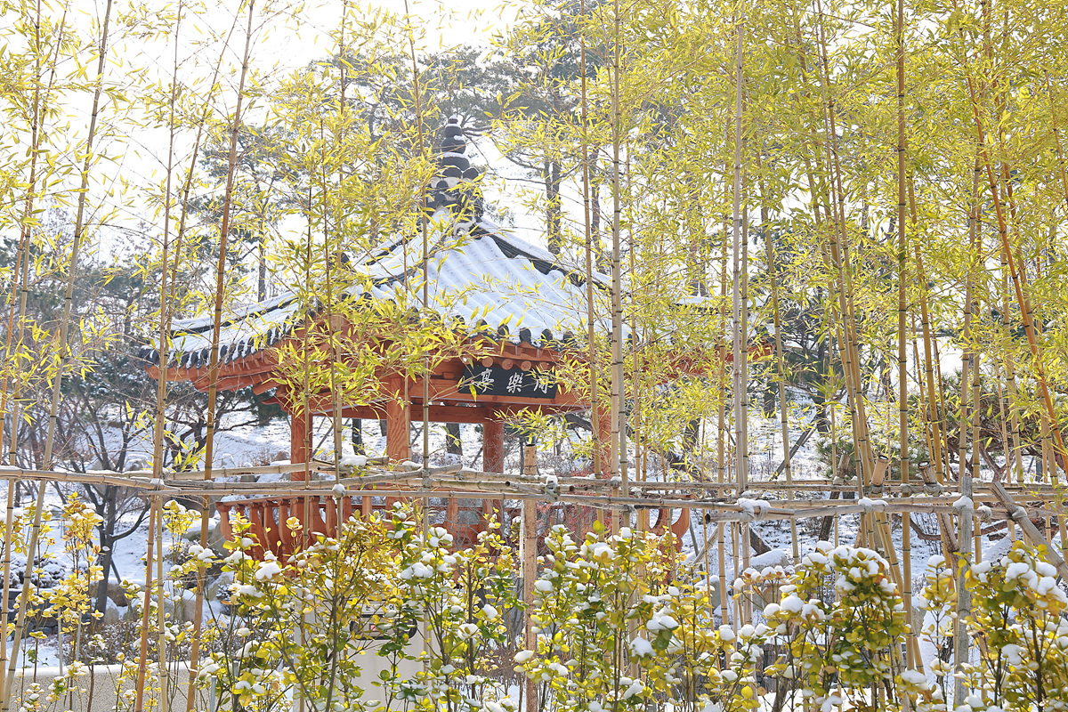 사진010