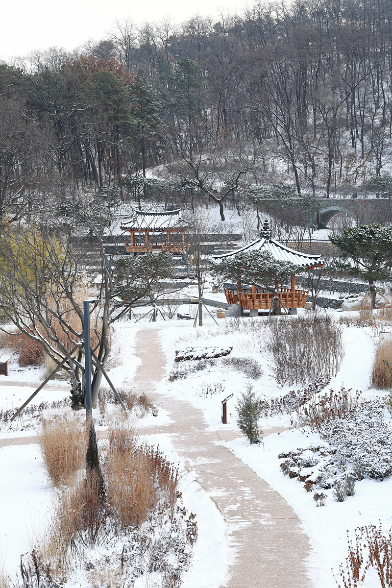 사진002