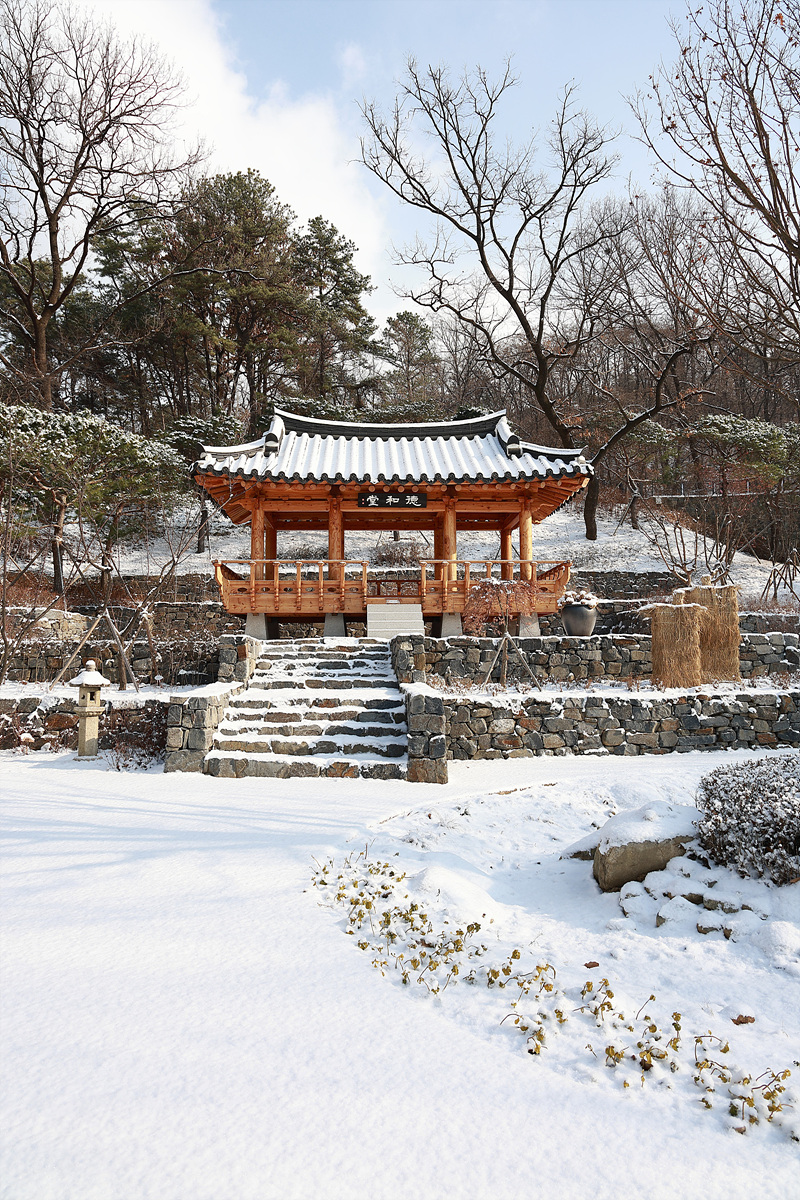 사진006