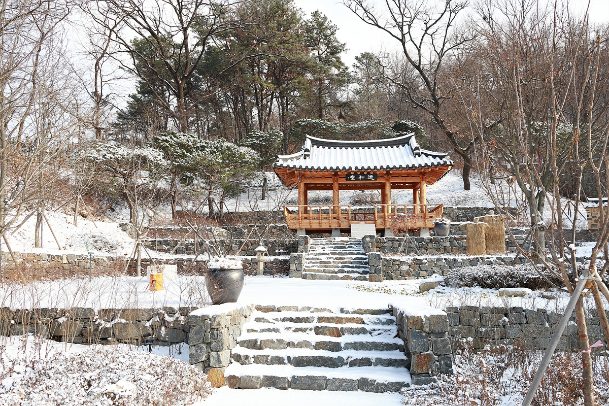 사진005