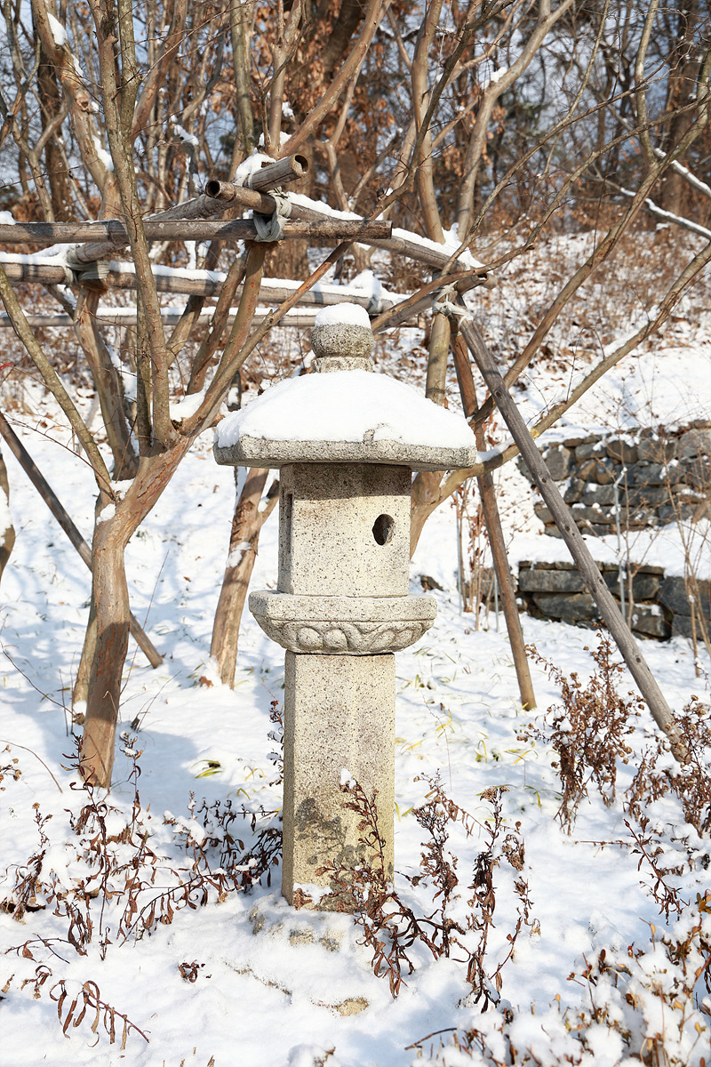 사진008