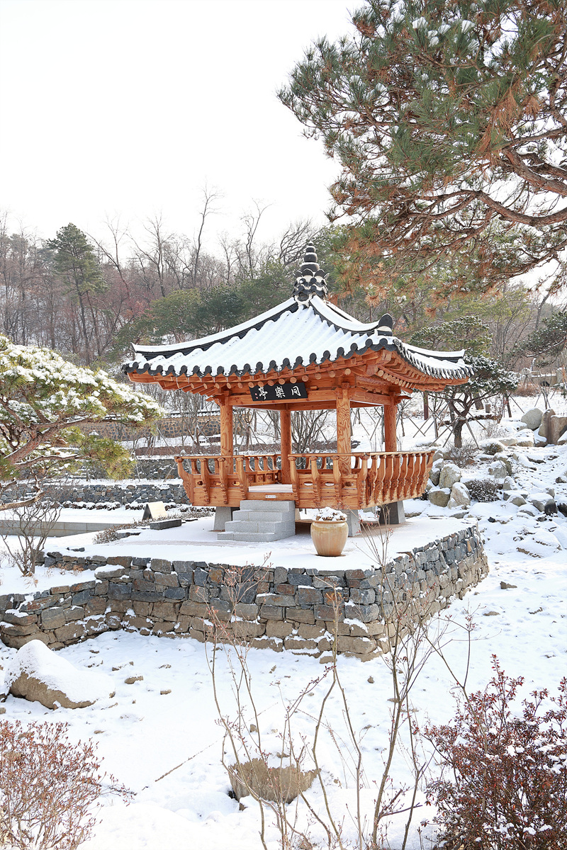 사진004