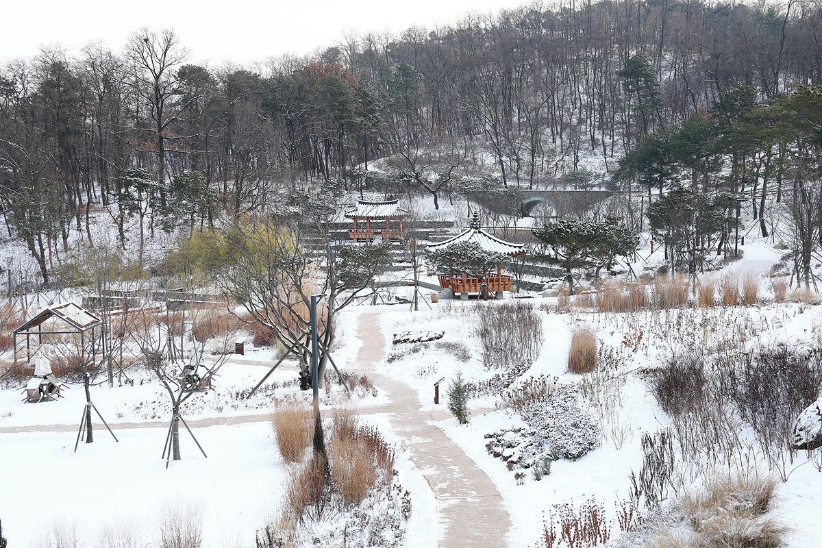 사진001