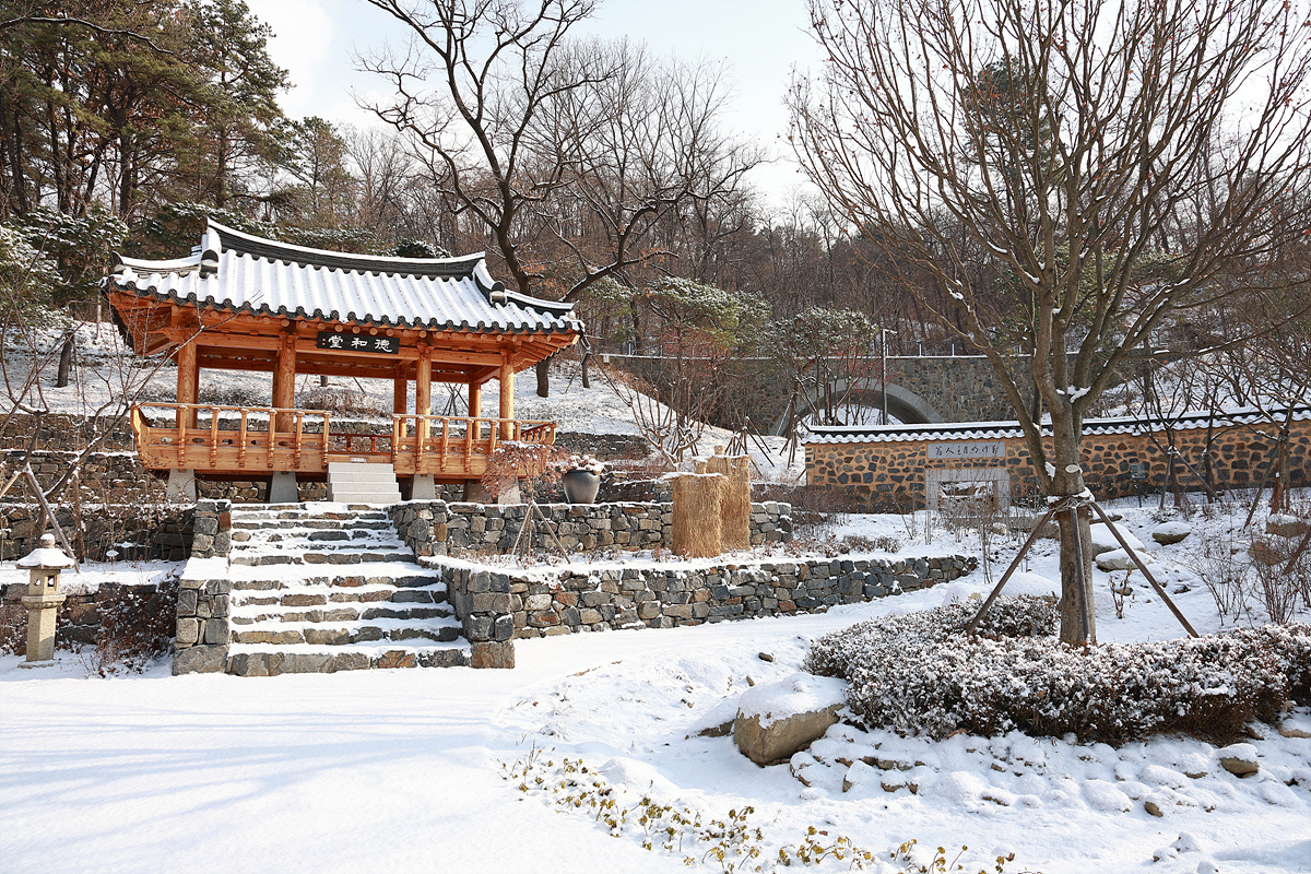 사진007