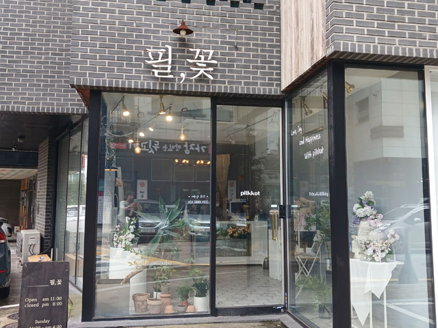 필,꽃 전경