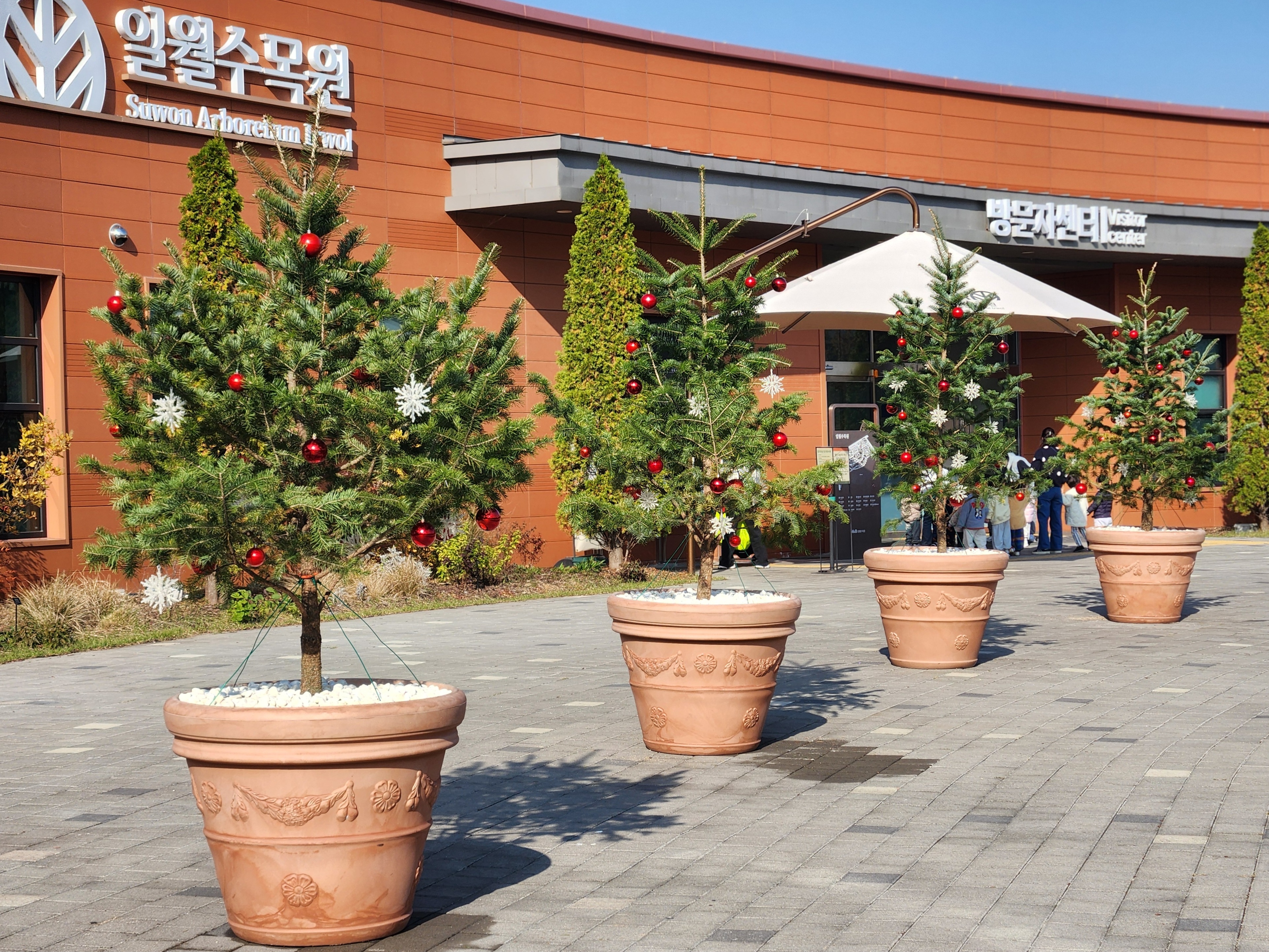 방문자센터 앞 트리