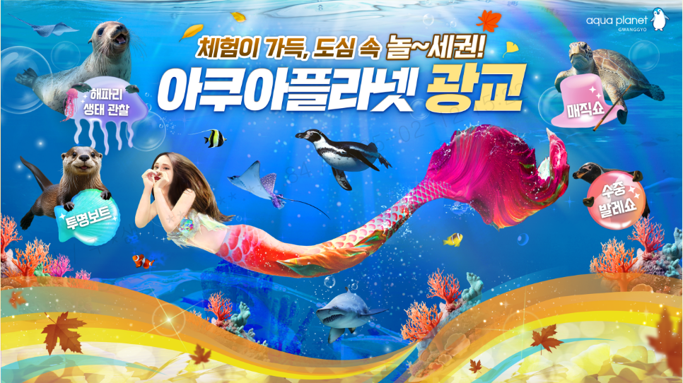 아쿠아플라넷광교
